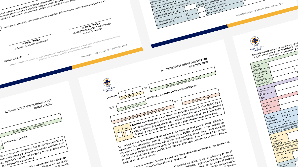 Vista previa del formulario de Autorizaciones de Uso de Imagen y Voz